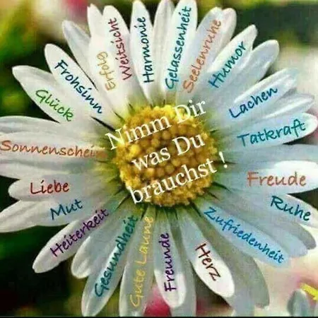 Annemarie 度假居 Ludmannsdorf