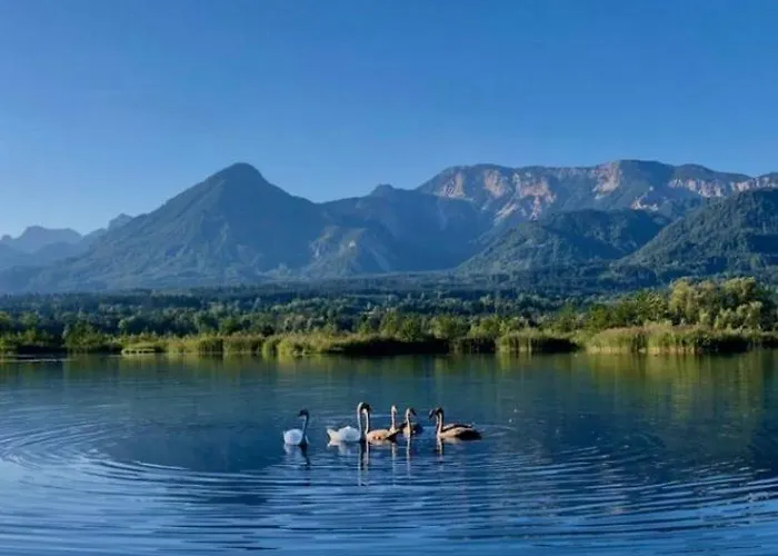 Annemarie Ludmannsdorf