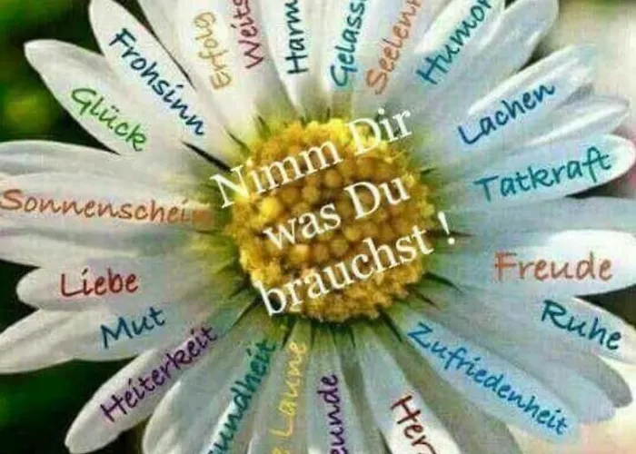 Annemarie Dom wakacyjny Ludmannsdorf